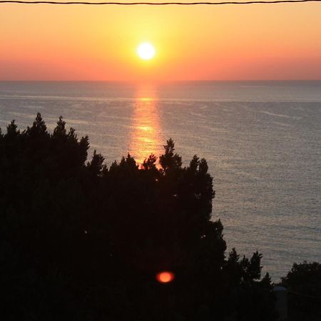 Arenal D'Or Apartment Playa DPlaya Des Figueral Екстериор снимка