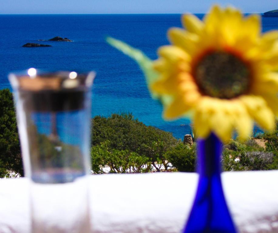 Arenal D'Or Apartment Playa DPlaya Des Figueral Стая снимка